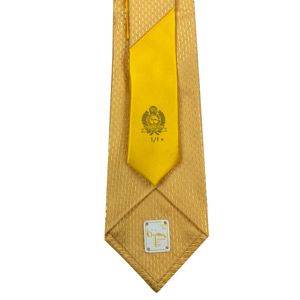 Bijan Gold Pure Silk Tie Set